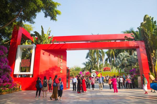 深圳簕杜鹃花展