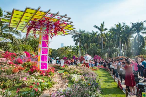深圳簕杜鹃花展