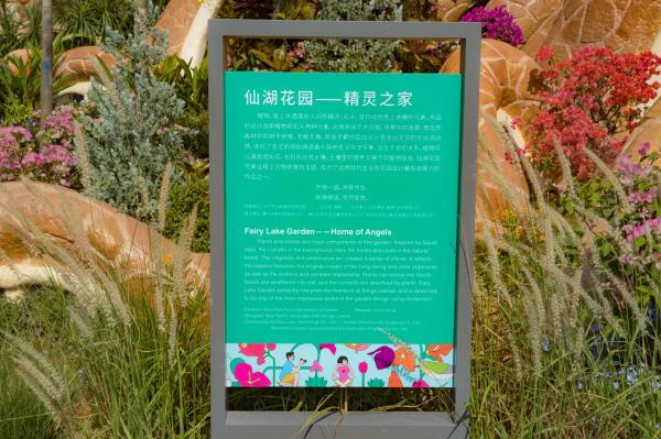 深圳簕杜鹃花展