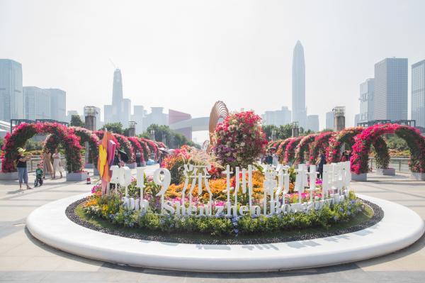 深圳簕杜鹃花展
