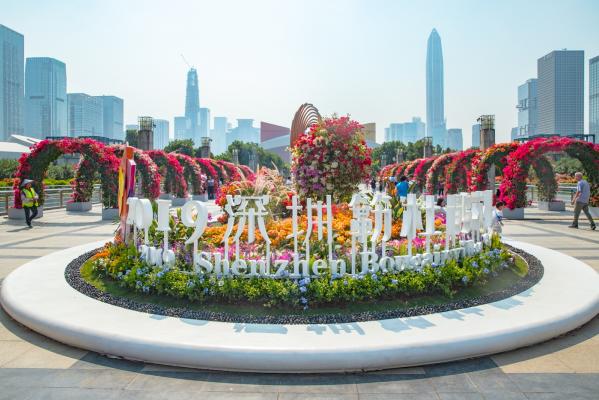 深圳簕杜鹃花展