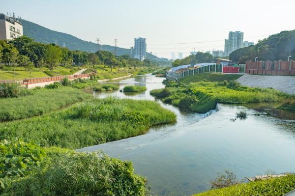 大沙河生态长廊