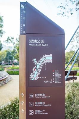 大沙河生态长廊