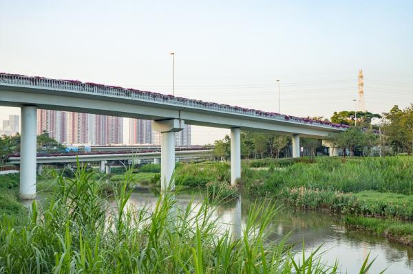 大沙河生态长廊