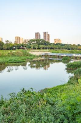 大沙河生态长廊
