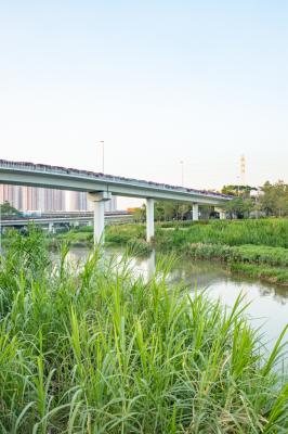 大沙河生态长廊