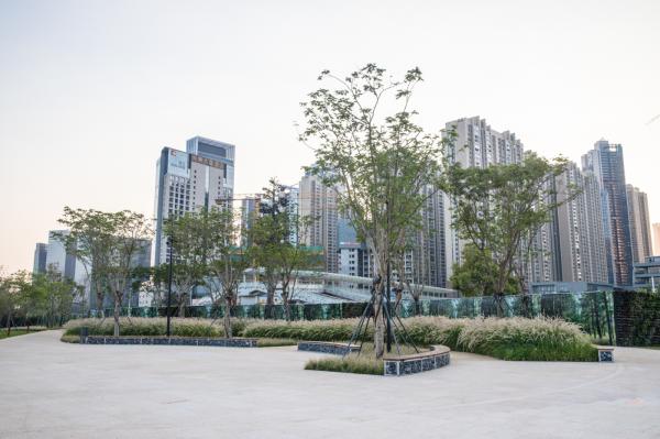 大沙河生态长廊