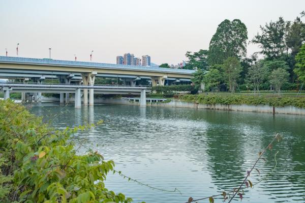 大沙河生态长廊