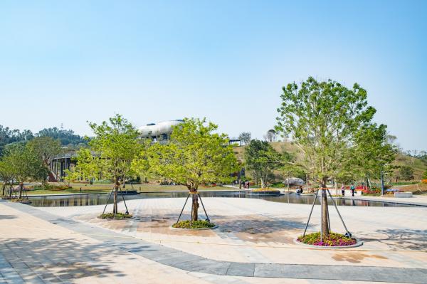 深圳北站中心公园