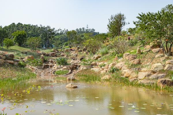深圳北站中心公园