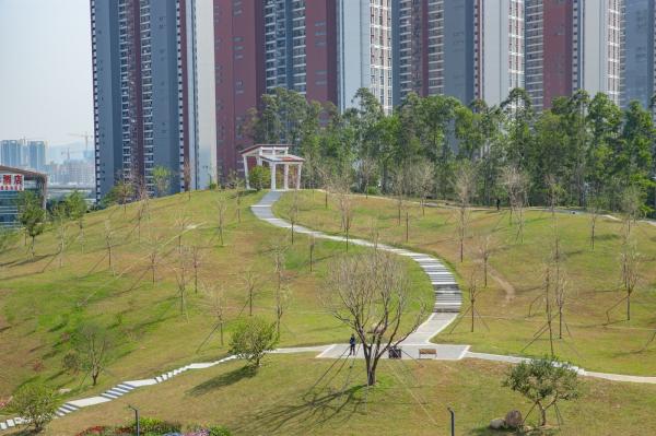 深圳北站中心公园