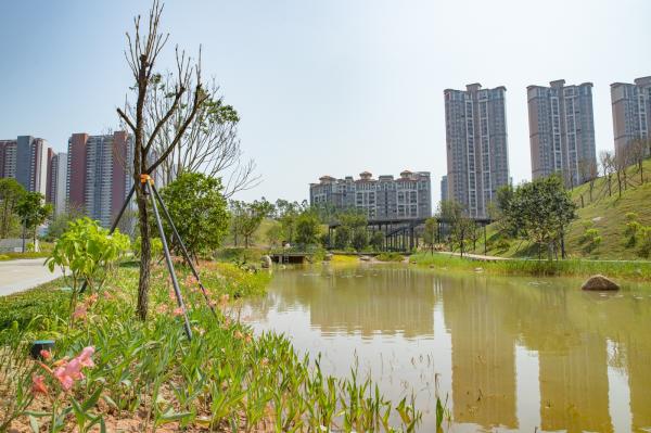深圳北站中心公园