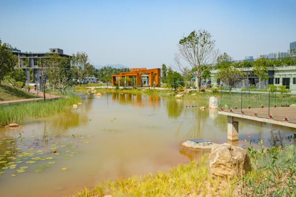 深圳北站中心公园