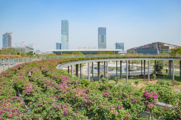 深圳北站中心公园