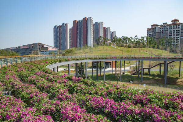 深圳北站中心公园