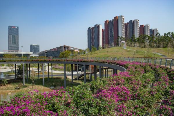 深圳北站中心公园