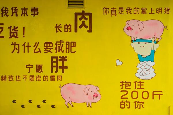 光明西柚小镇