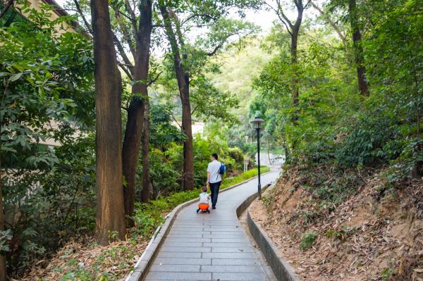 红花山公园