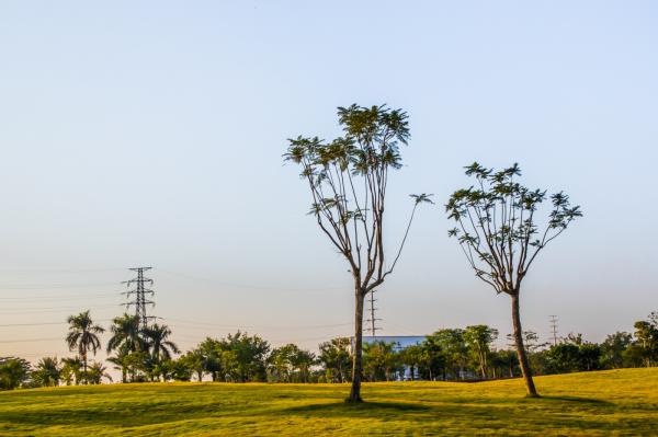 光明开明公园