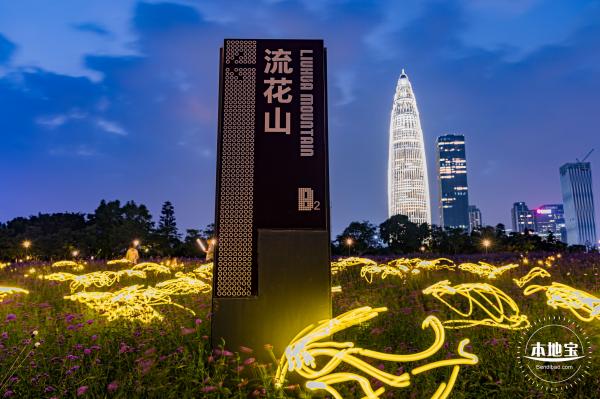 流花山马鞭草+灯光花海