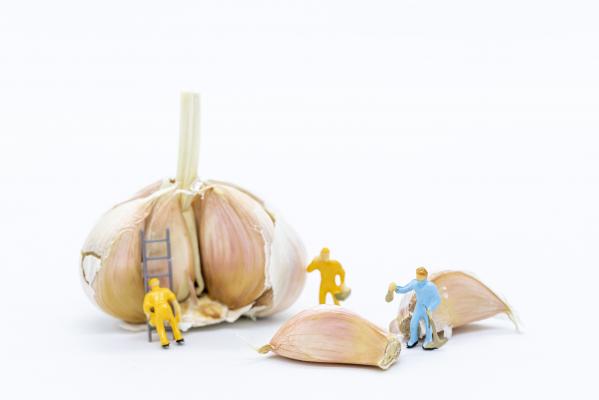 创意劳动工人
