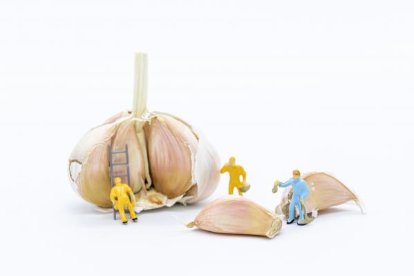 创意劳动工人