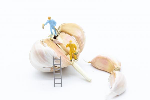 创意劳动工人