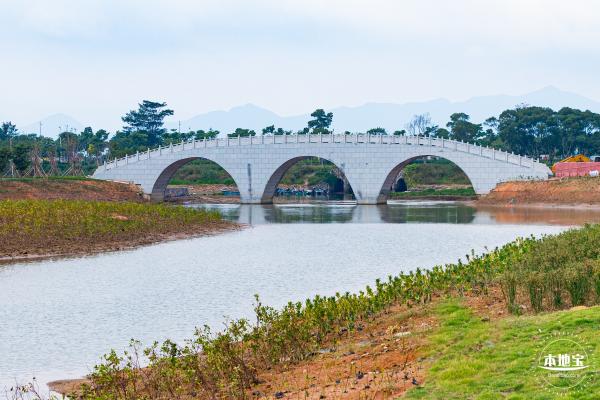 禾塘湿地园粉黛乱子草