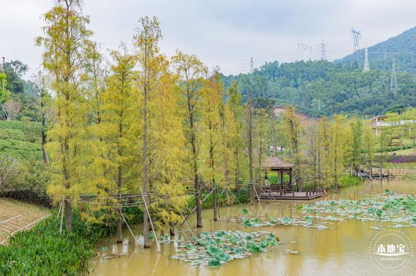 禾塘山水公园