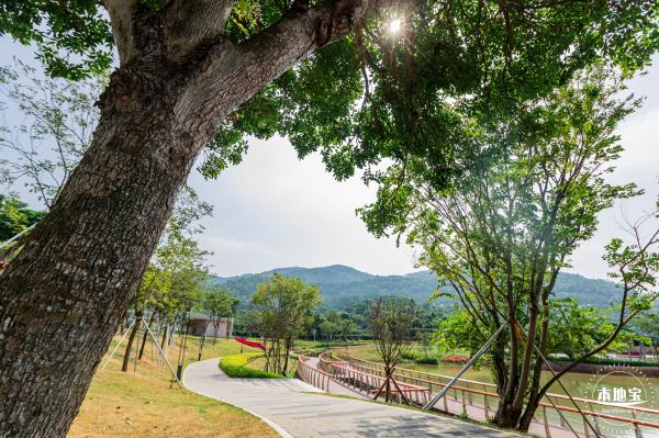 宝安人才林公园