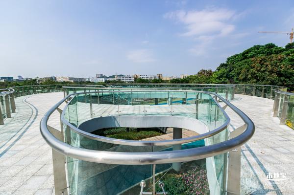 宝安人才林公园