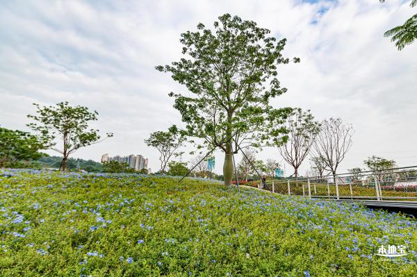 左岸科技公园