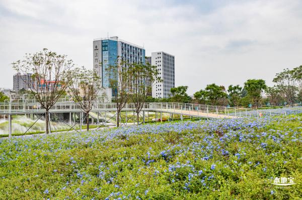 左岸科技公园