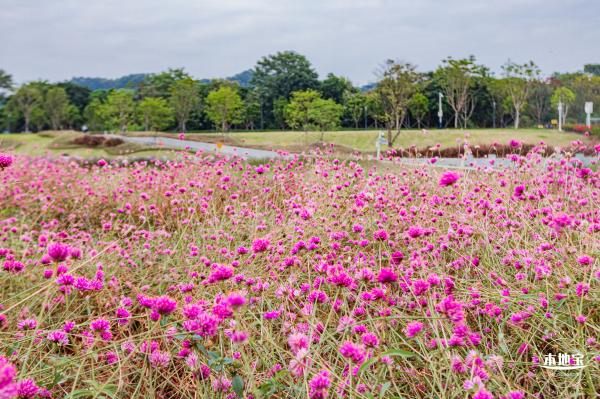 左岸科技公园