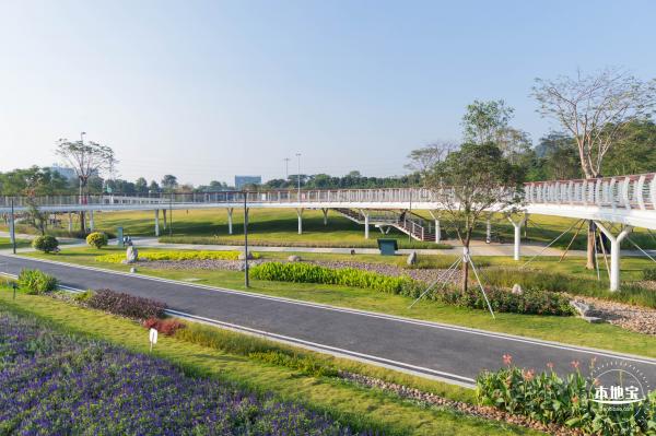 楼村湿地公园