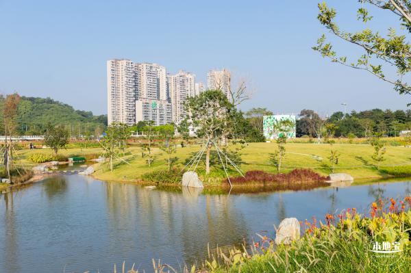 楼村湿地公园