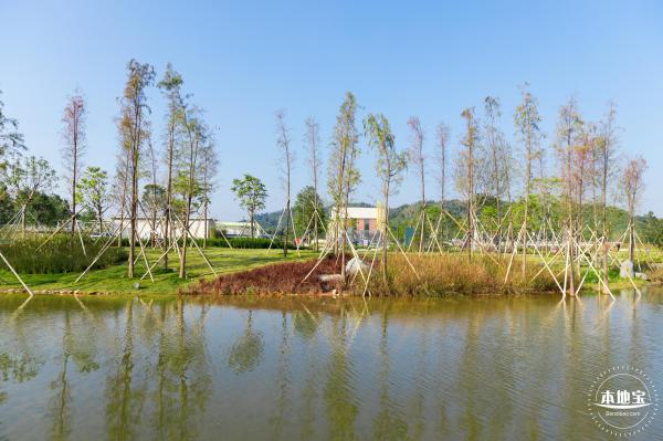 楼村湿地公园