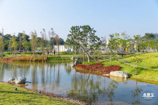 楼村湿地公园