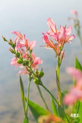 楼村湿地公园