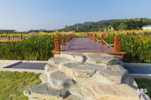 楼村湿地公园