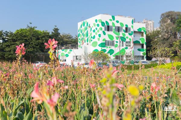 楼村湿地公园