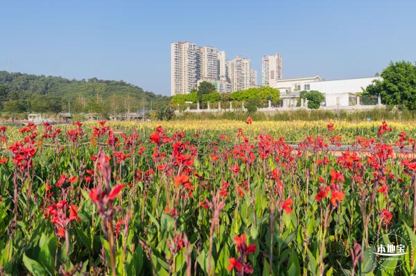 楼村湿地公园