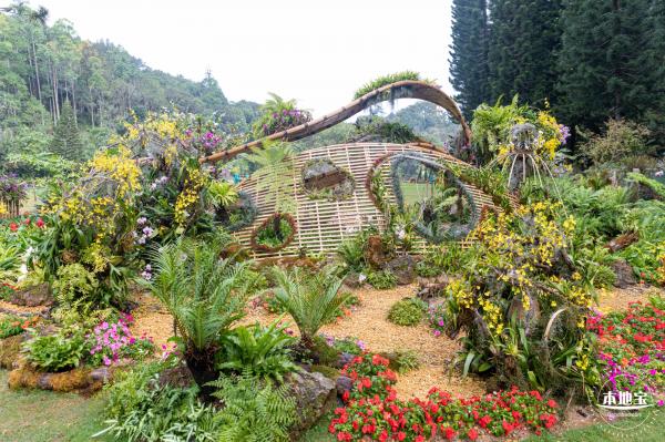 仙湖植物园(蕨类中心+幽溪）