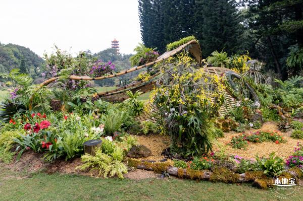 仙湖植物园(蕨类中心+幽溪）