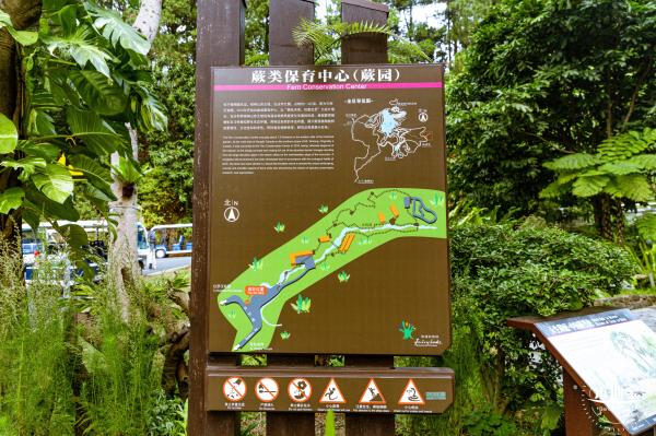 仙湖植物园(蕨类中心+幽溪）