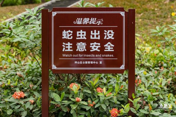 坪山光祖公园