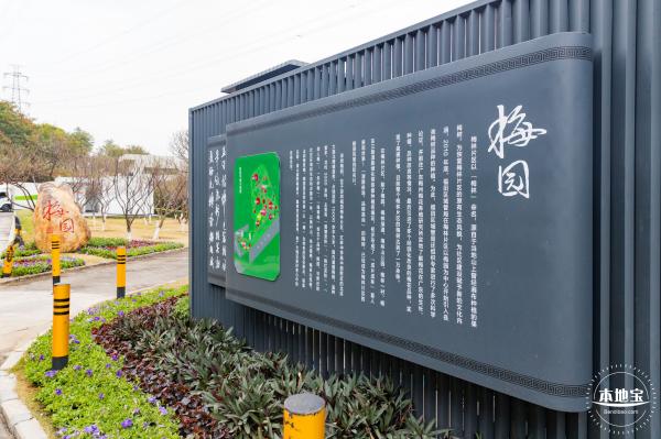 梅园2021