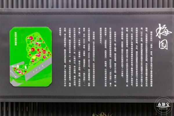 梅园2021