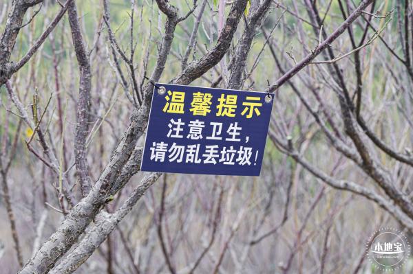 梅园2021