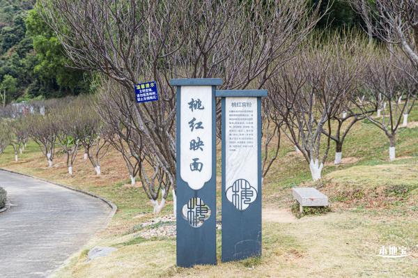 梅园2021